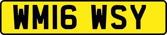 WM16WSY