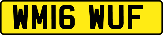WM16WUF