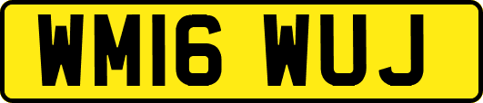 WM16WUJ