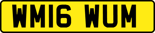 WM16WUM