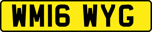 WM16WYG