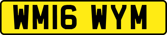 WM16WYM