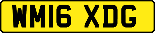 WM16XDG