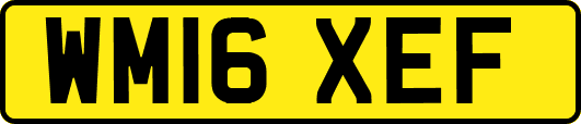 WM16XEF