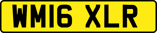 WM16XLR
