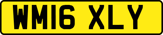 WM16XLY