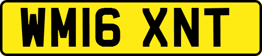 WM16XNT