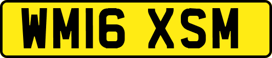WM16XSM