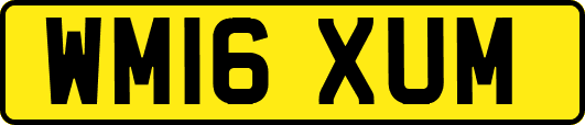 WM16XUM