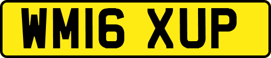 WM16XUP