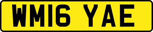 WM16YAE