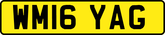 WM16YAG