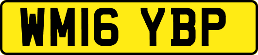 WM16YBP
