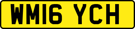 WM16YCH