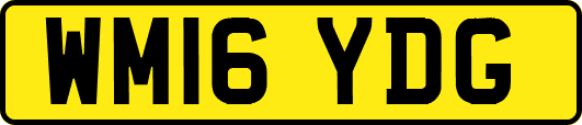 WM16YDG