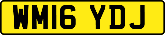 WM16YDJ