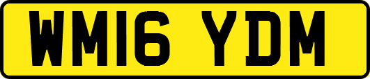 WM16YDM