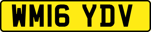 WM16YDV