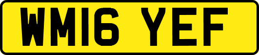 WM16YEF