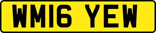 WM16YEW