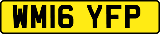 WM16YFP