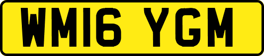 WM16YGM