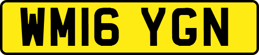 WM16YGN