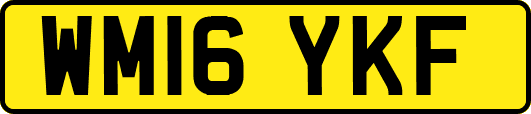 WM16YKF