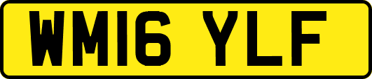 WM16YLF