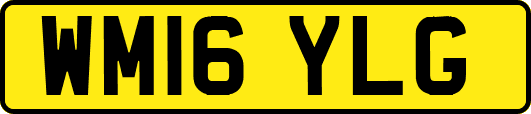 WM16YLG
