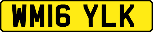 WM16YLK