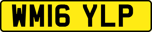WM16YLP