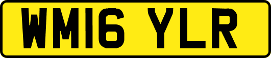 WM16YLR