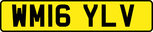 WM16YLV