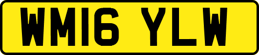 WM16YLW