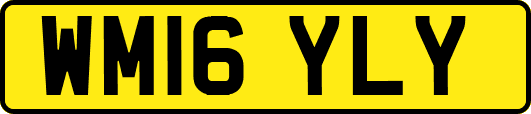 WM16YLY