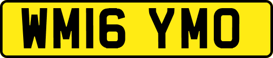 WM16YMO