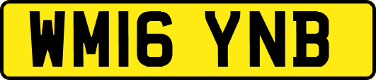 WM16YNB