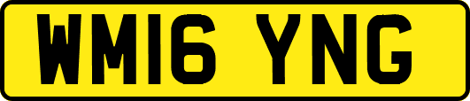 WM16YNG
