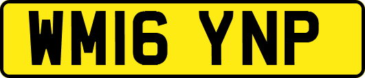 WM16YNP