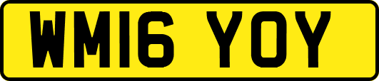 WM16YOY