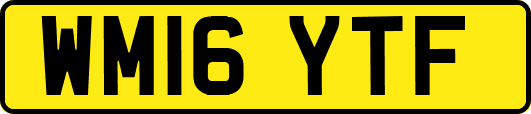 WM16YTF