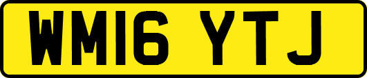 WM16YTJ