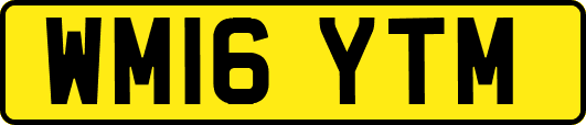 WM16YTM