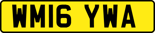 WM16YWA
