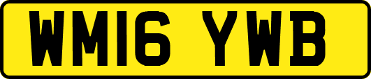 WM16YWB