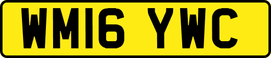 WM16YWC