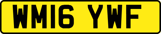 WM16YWF