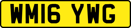 WM16YWG