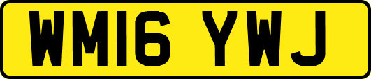 WM16YWJ